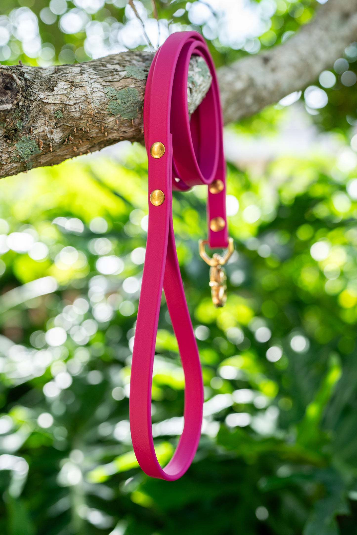 Waterproof Custom BioThane Leash