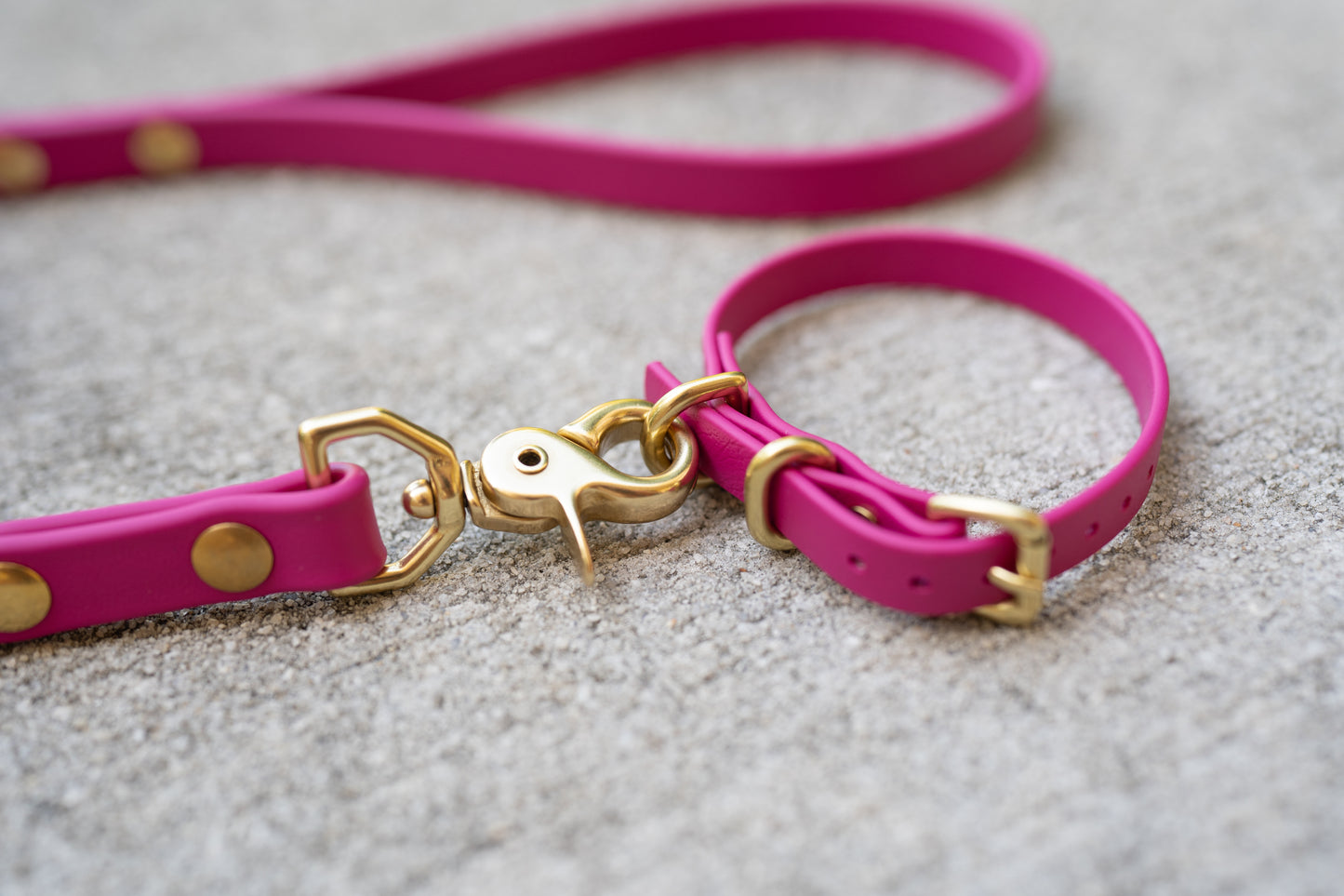 Waterproof Custom BioThane Leash