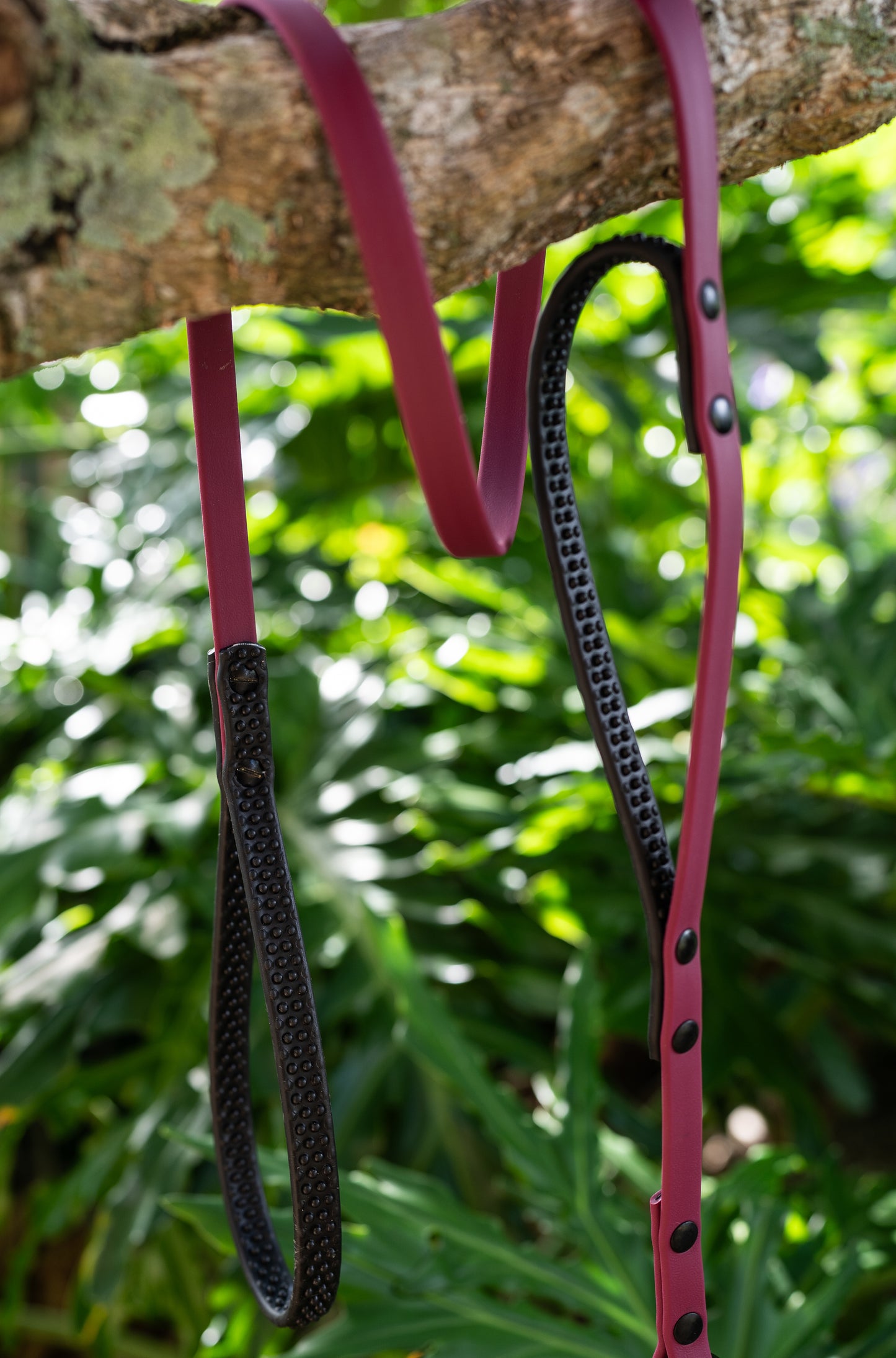 Waterproof Custom BioThane Leash