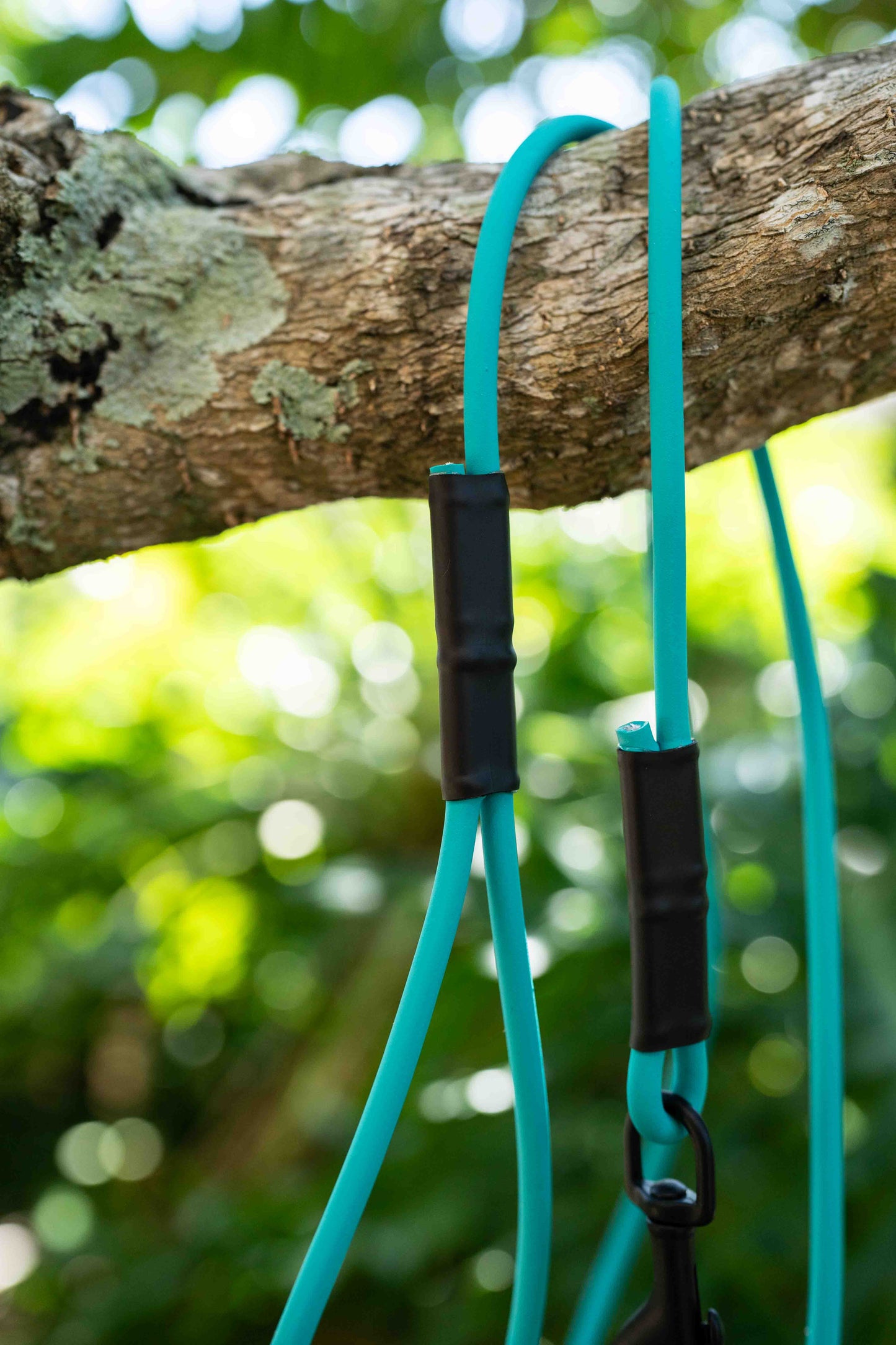 Rope Lightweight BioThane Leash