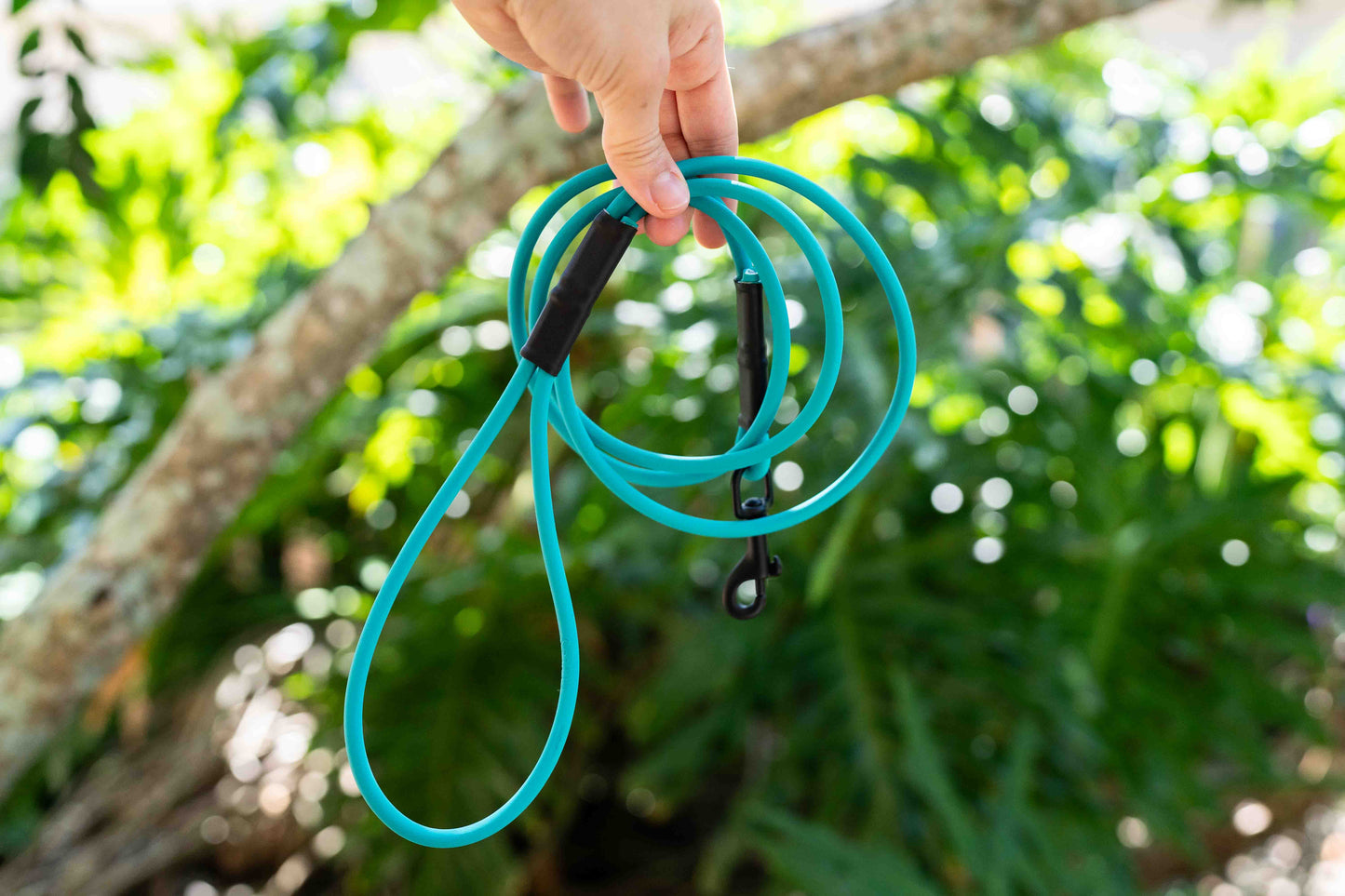 Rope Lightweight BioThane Leash