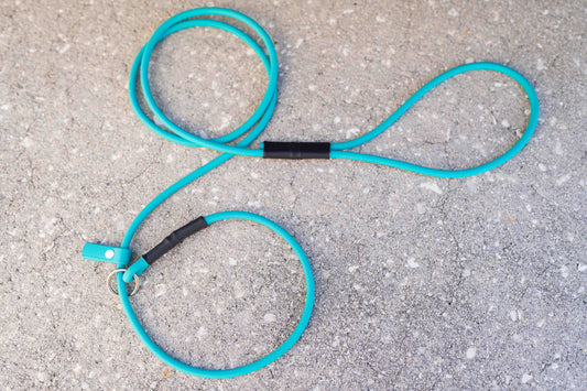 Rolled BioThane Slip Leash