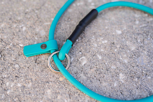 Rolled BioThane Slip Leash