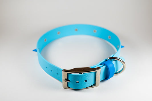 1" Spiky Arctic Blue Collar