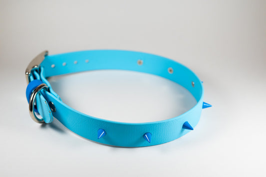 1" Spiky Arctic Blue Collar