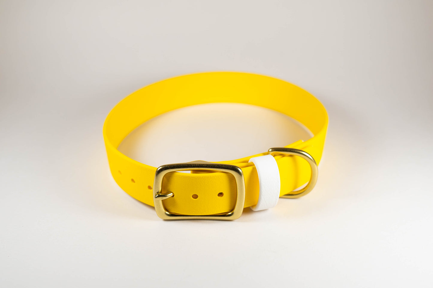 14-17" Yellow Collar