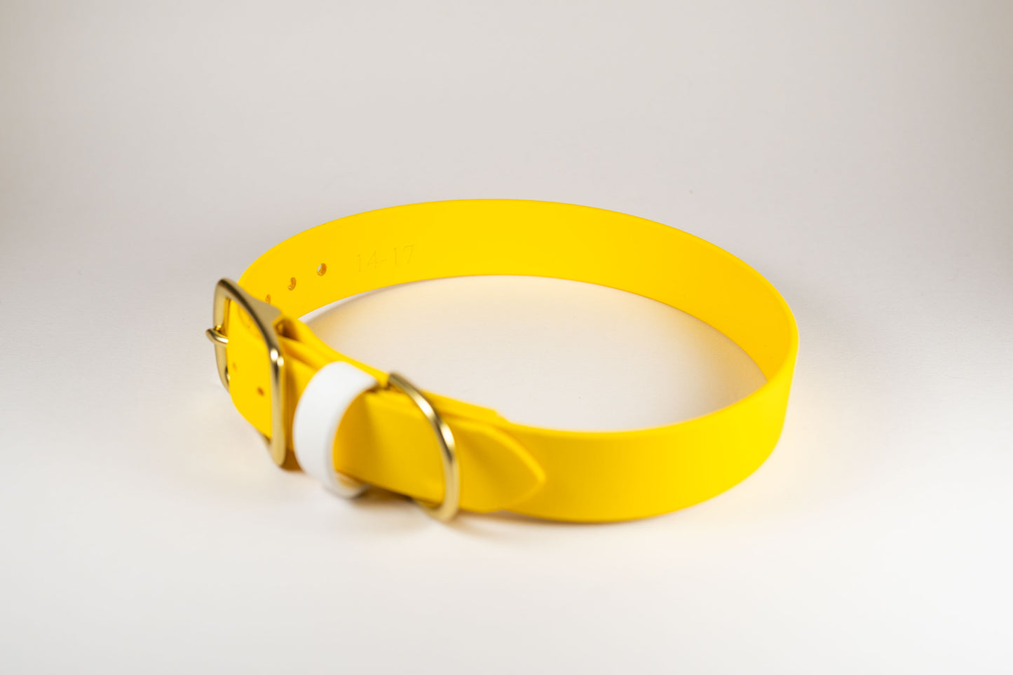 14-17" Yellow Collar
