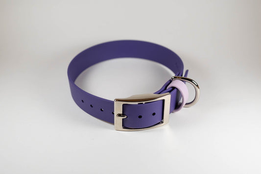 13-16" Violet Collar