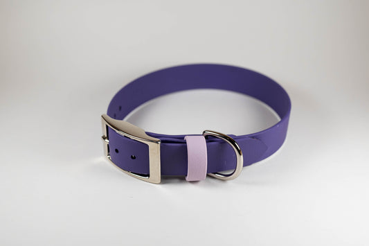 13-16" Violet Collar