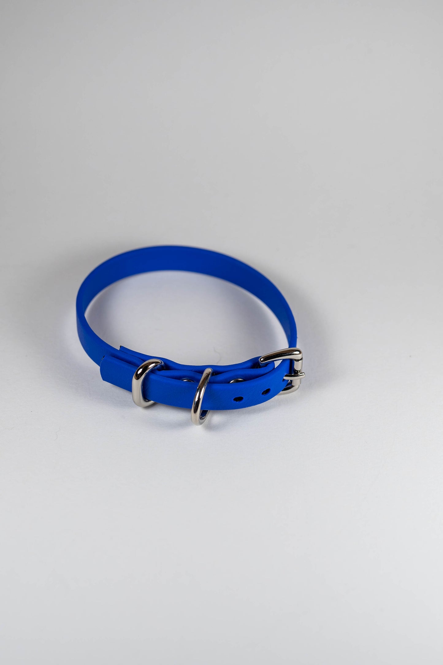 8-10" Tiny Peacock Blue Collar