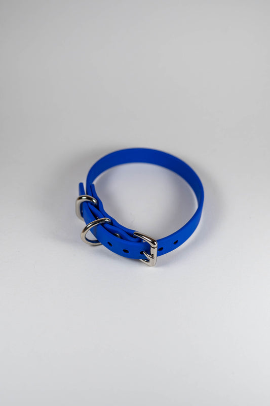 8-10" Tiny Peacock Blue Collar