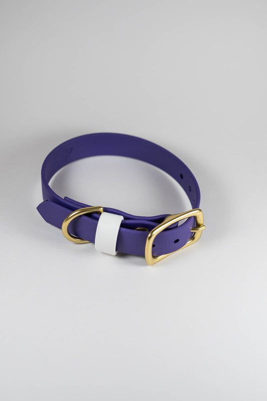 9-12" Violet Collar