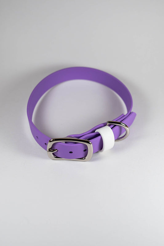 11-14" Purple Collar