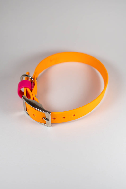 11-14" Pumpkin Collar