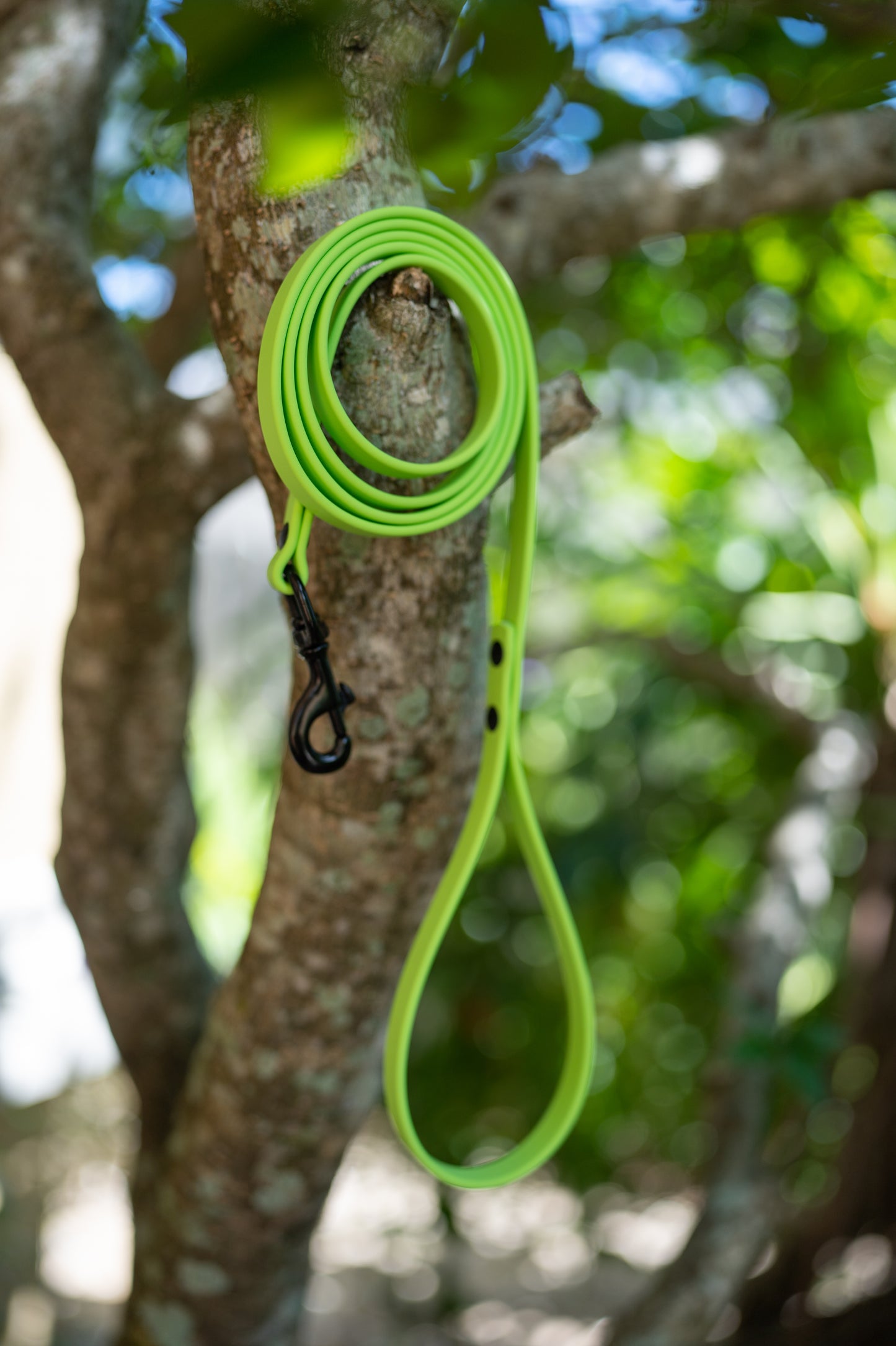 Waterproof Custom BioThane Leash