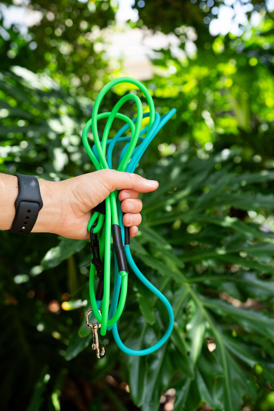 Rope Lightweight BioThane Leash