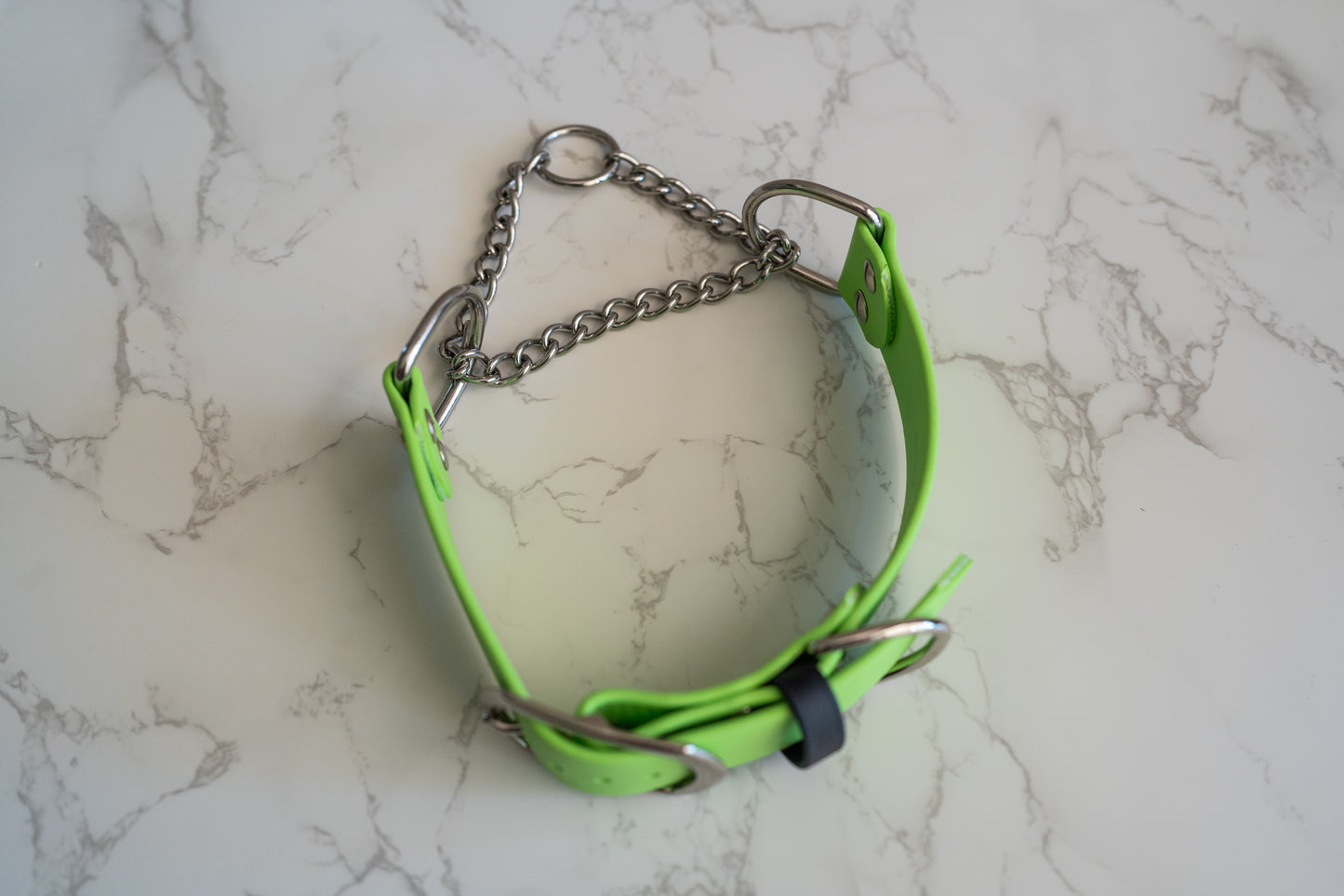 Adjustable Buckle Martingale BioThane Collar