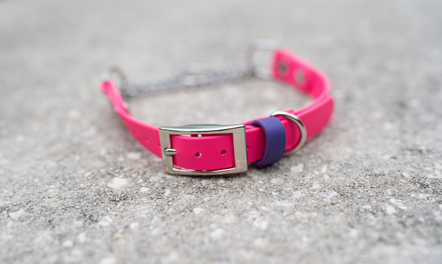 Adjustable Buckle Martingale BioThane Collar