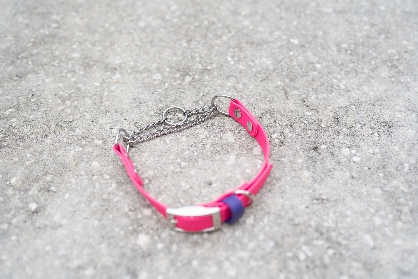 Adjustable Buckle Martingale BioThane Collar