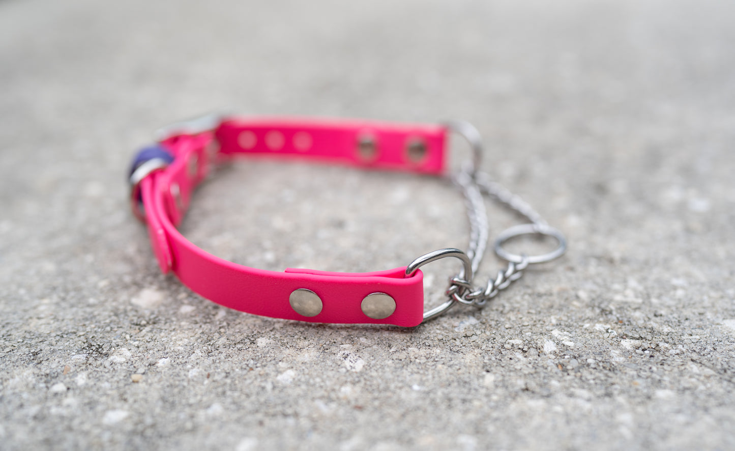 Adjustable Buckle Martingale BioThane Collar