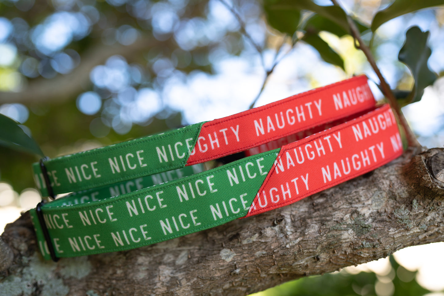 1" Width Eco Canvas Collars