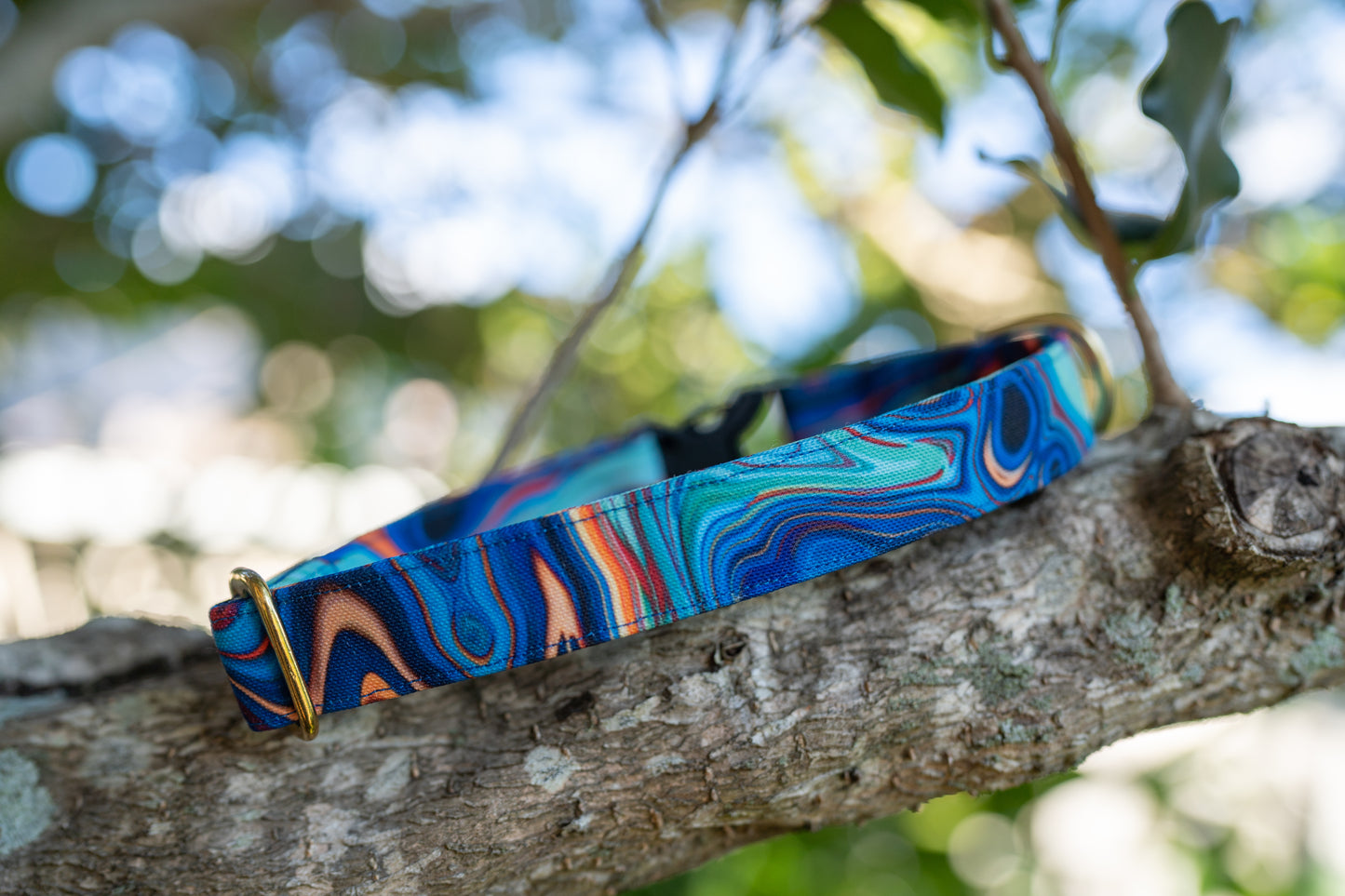 1.5" Width Eco Canvas Collars