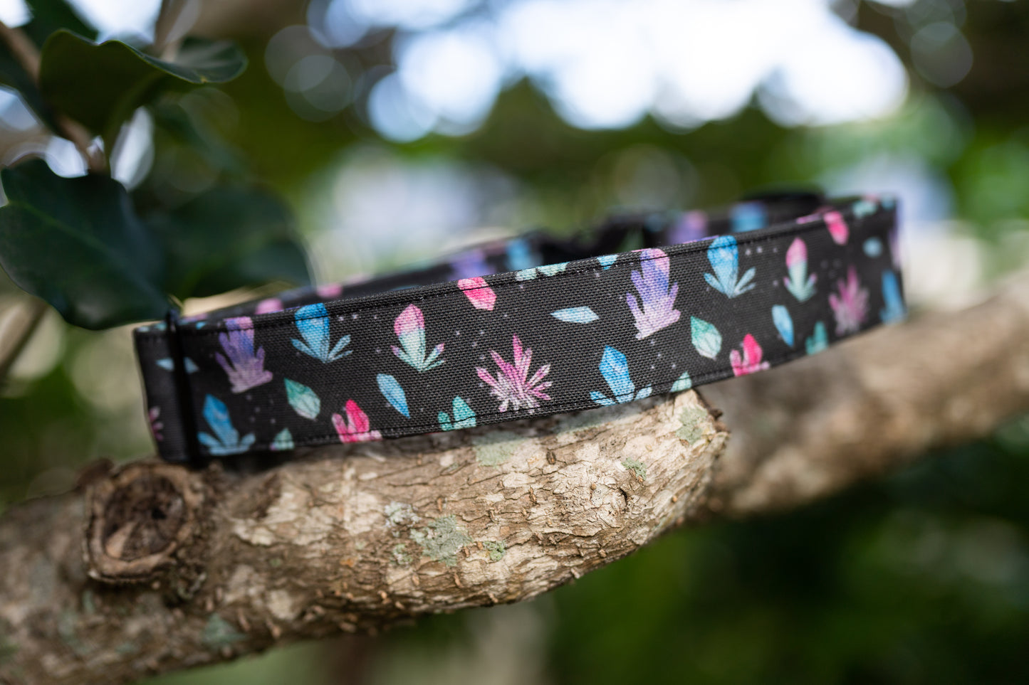 1.5" Width Eco Canvas Collars