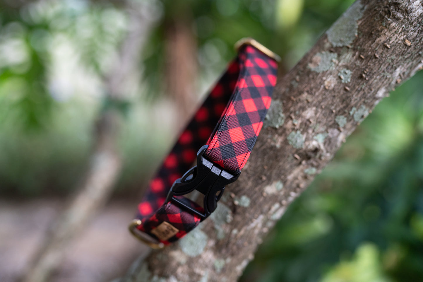 1" Width Eco Canvas Collars