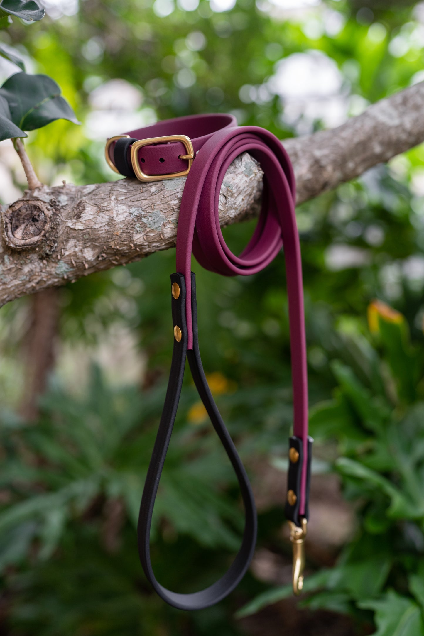 Waterproof Custom BioThane Leash