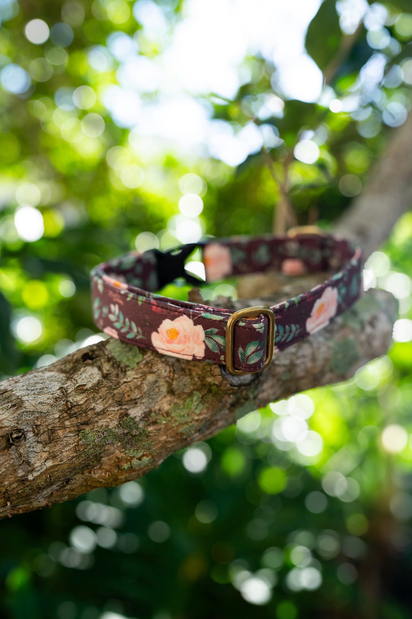 1" Width Eco Canvas Collars