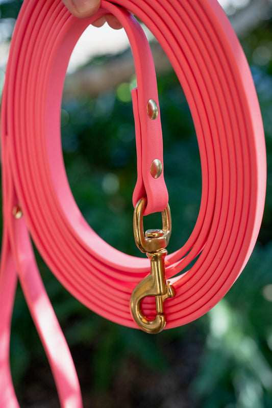 10' and 15' Waterproof BioThane Long Line