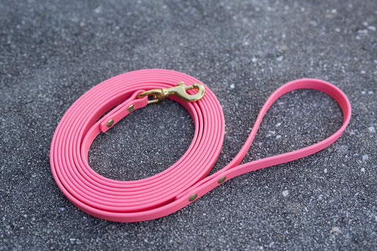 10' and 15' Waterproof BioThane Long Line