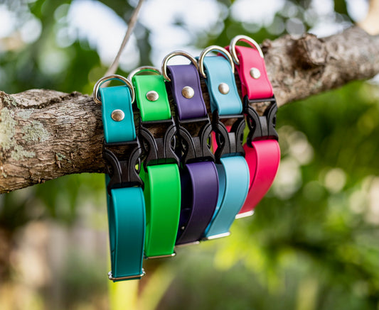 Flex Series Adjustable Quick Release Buckle Collars