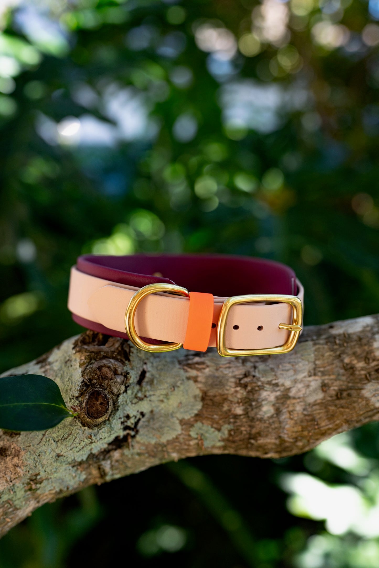 1.5" Layered Collar