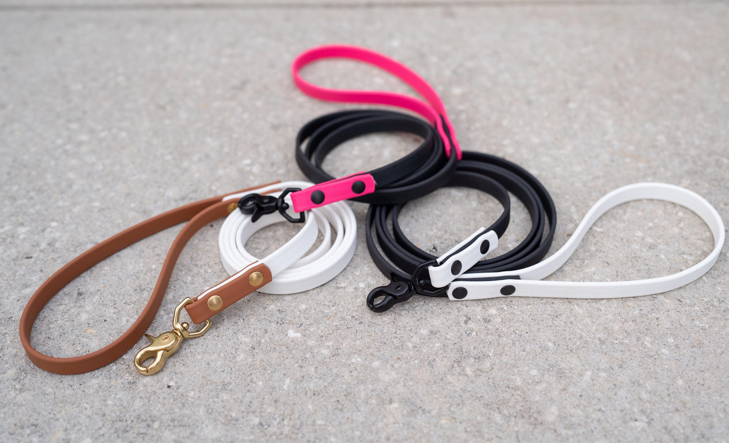 Waterproof Custom BioThane Leash
