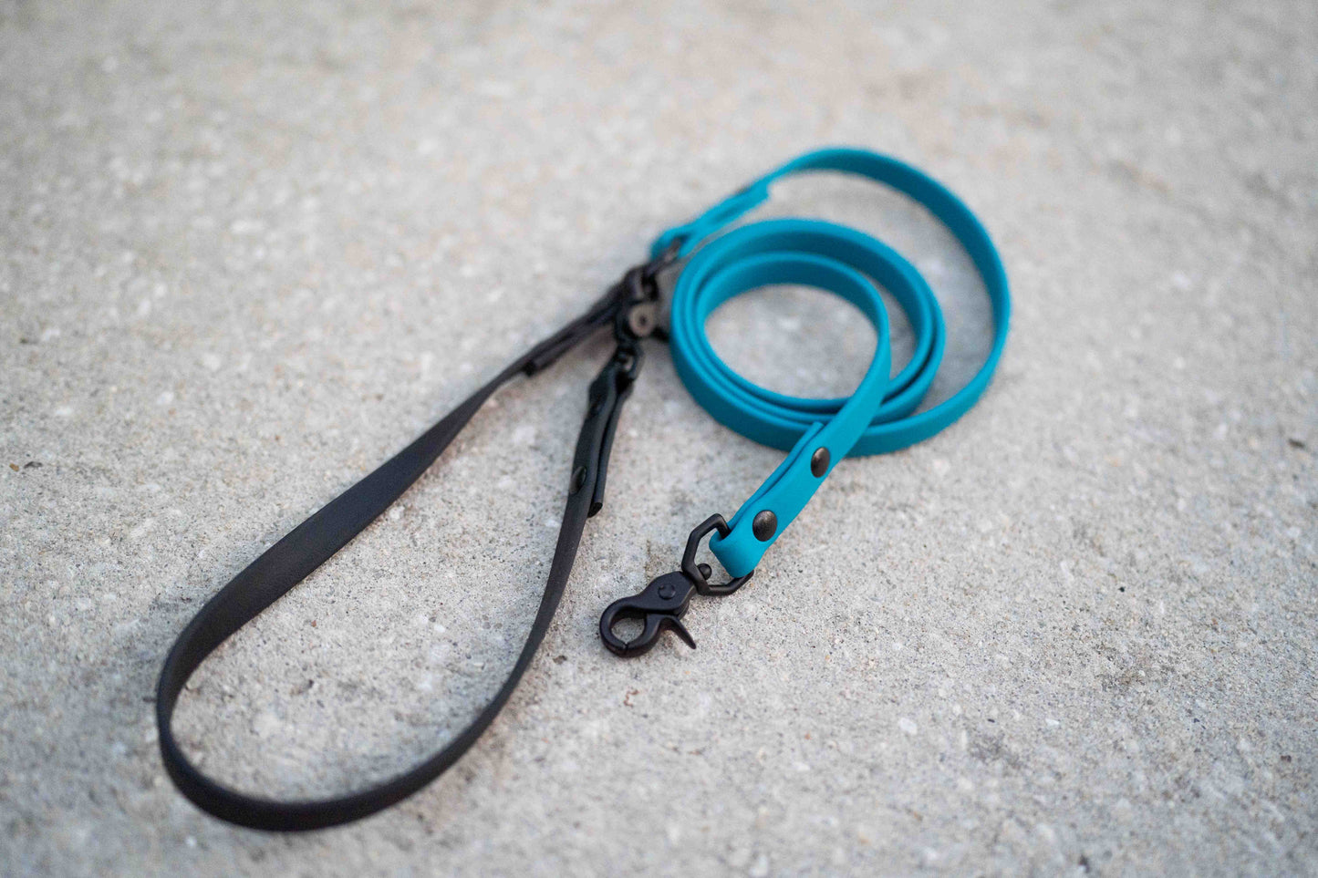 The Explorer Leash - Crossbody and Standard Leash in One