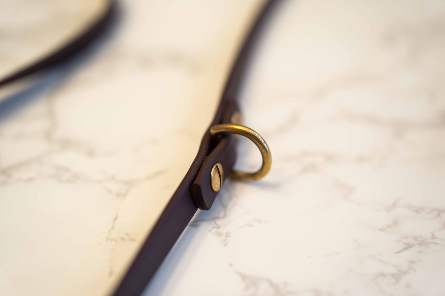The Explorer Leash - Crossbody and Standard Leash in One