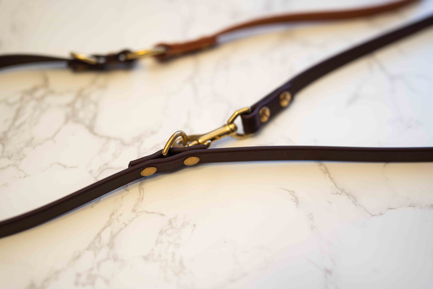 The Explorer Leash - Crossbody and Standard Leash in One