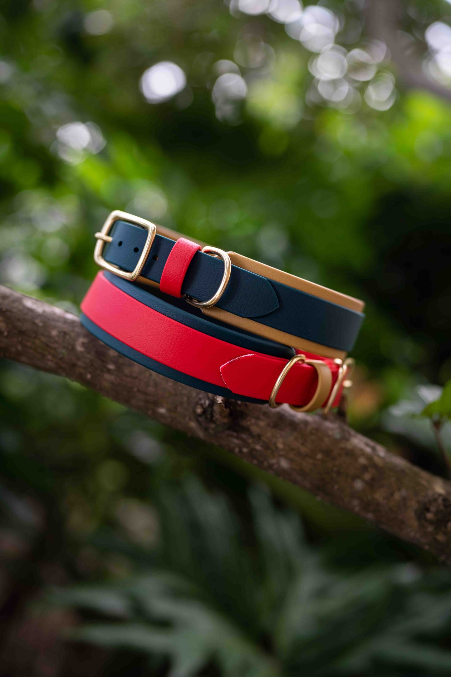 1.5" Layered Collar