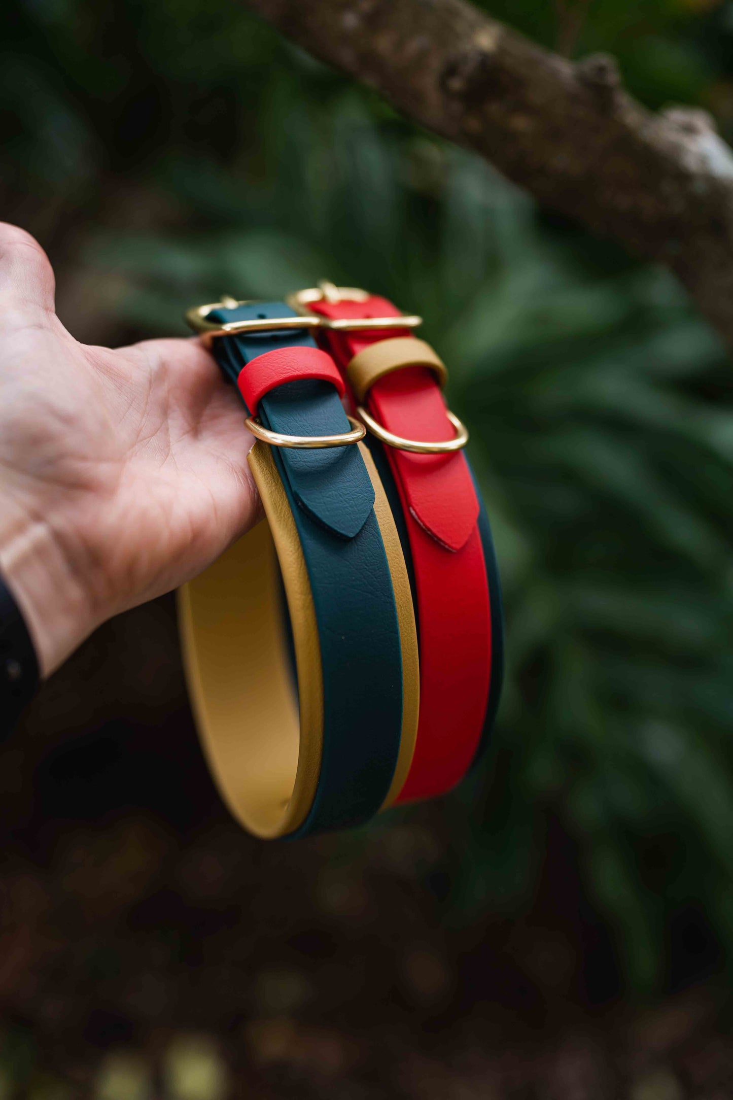 1.5" Layered Collar