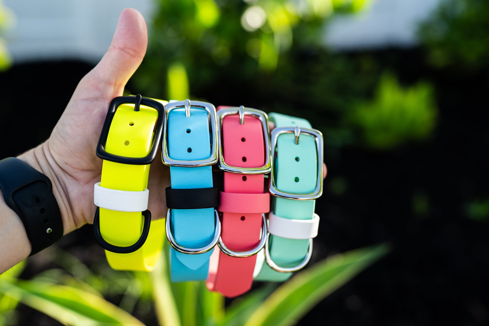 Hand holding four colorful dog collars with metal buckles against a blurred green outdoor background. Yellow dog collar, light blue dog collar, pink dog collar, and mint dog collar.