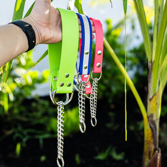 Slip On Martingale BioThane Collar