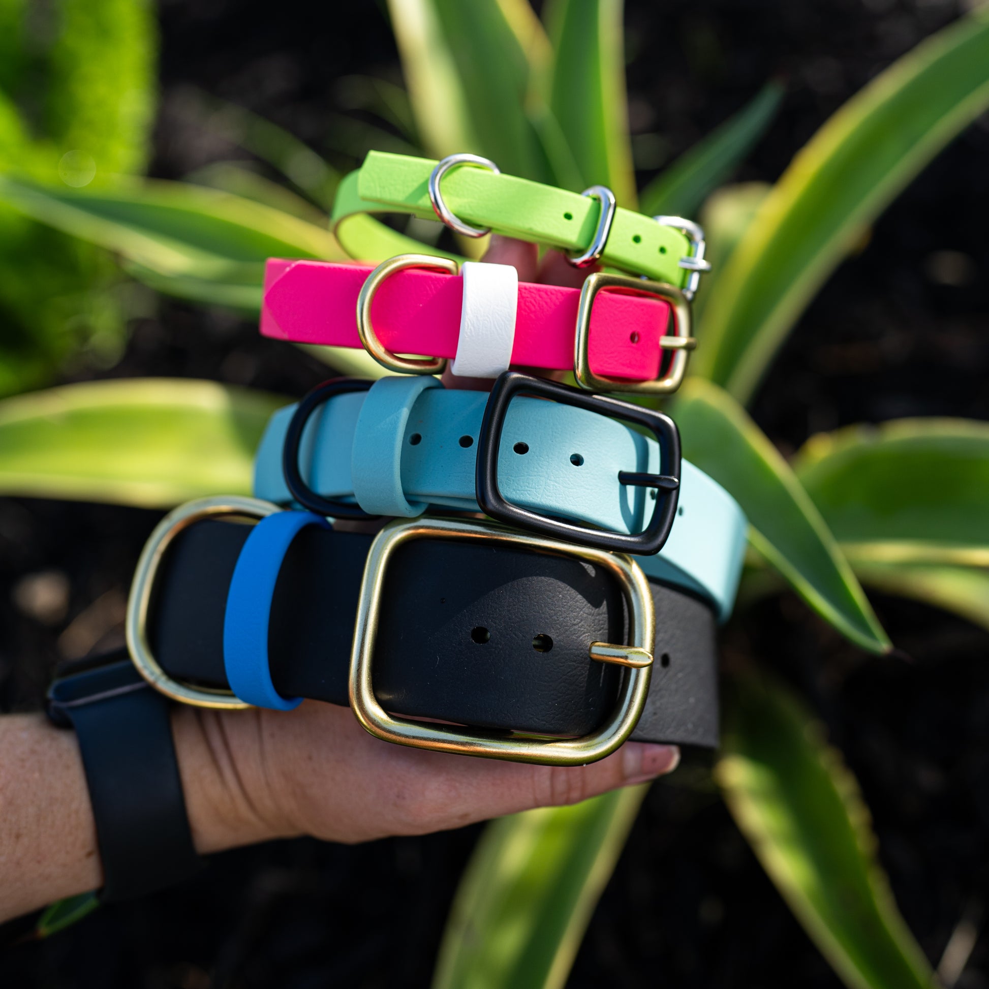 Hand holding colorful dog collars with plants in the background. Black dog collar, blue dusty turquoise dog collar, pink dog collar, and green dog collar.