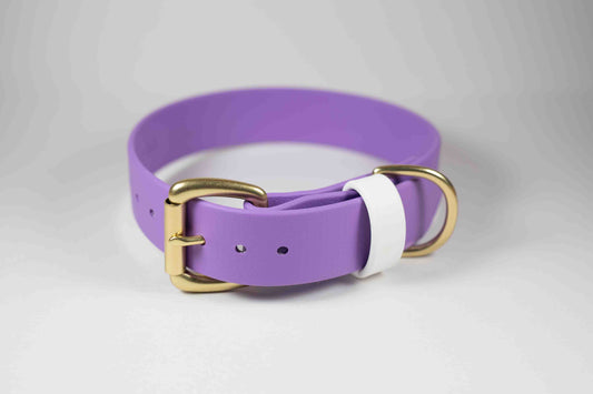 11-14" Purple Collar