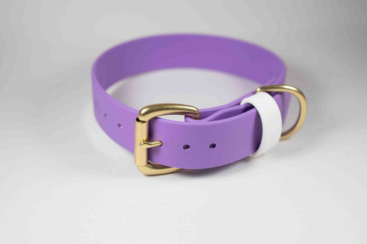 11-14" Purple Collar