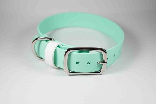 12-15" Mint Collar