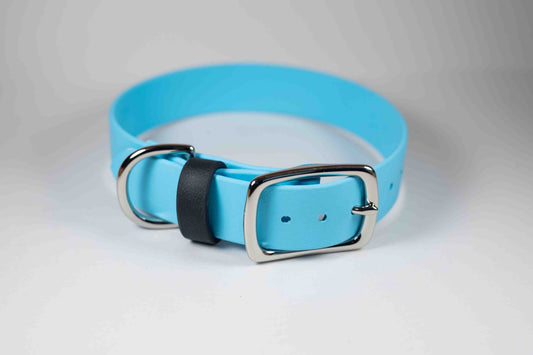 12-15" Arctic Blue Collar