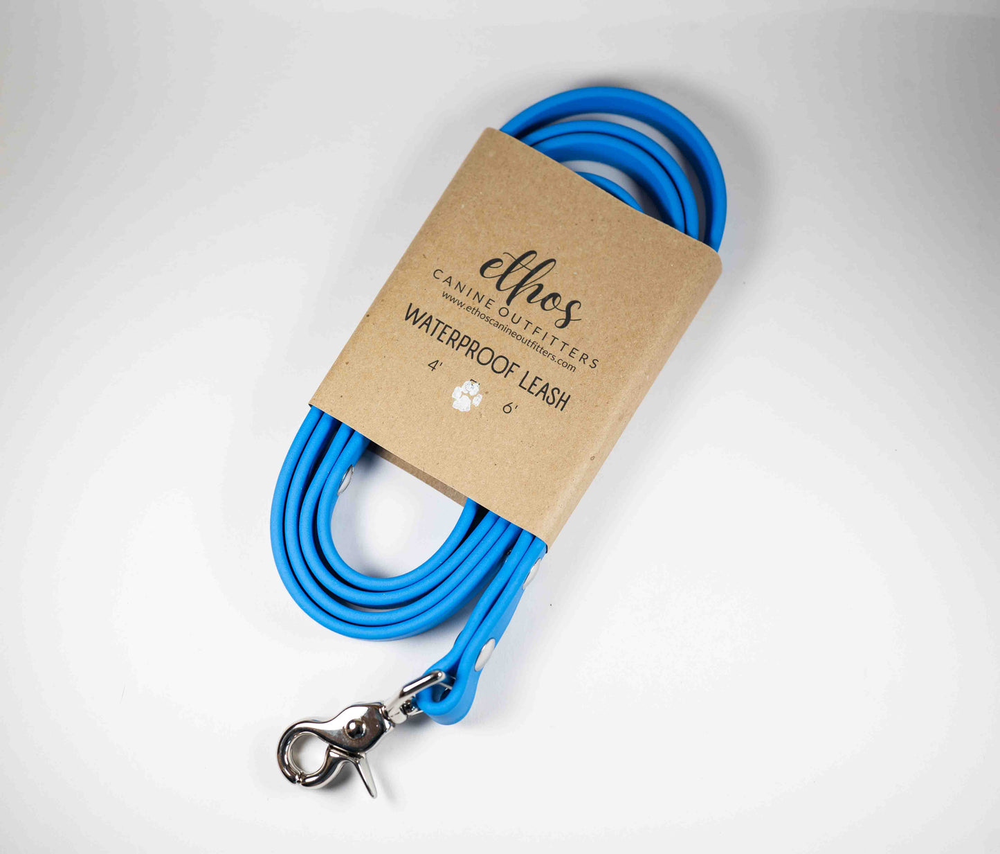 5' Azure Leash