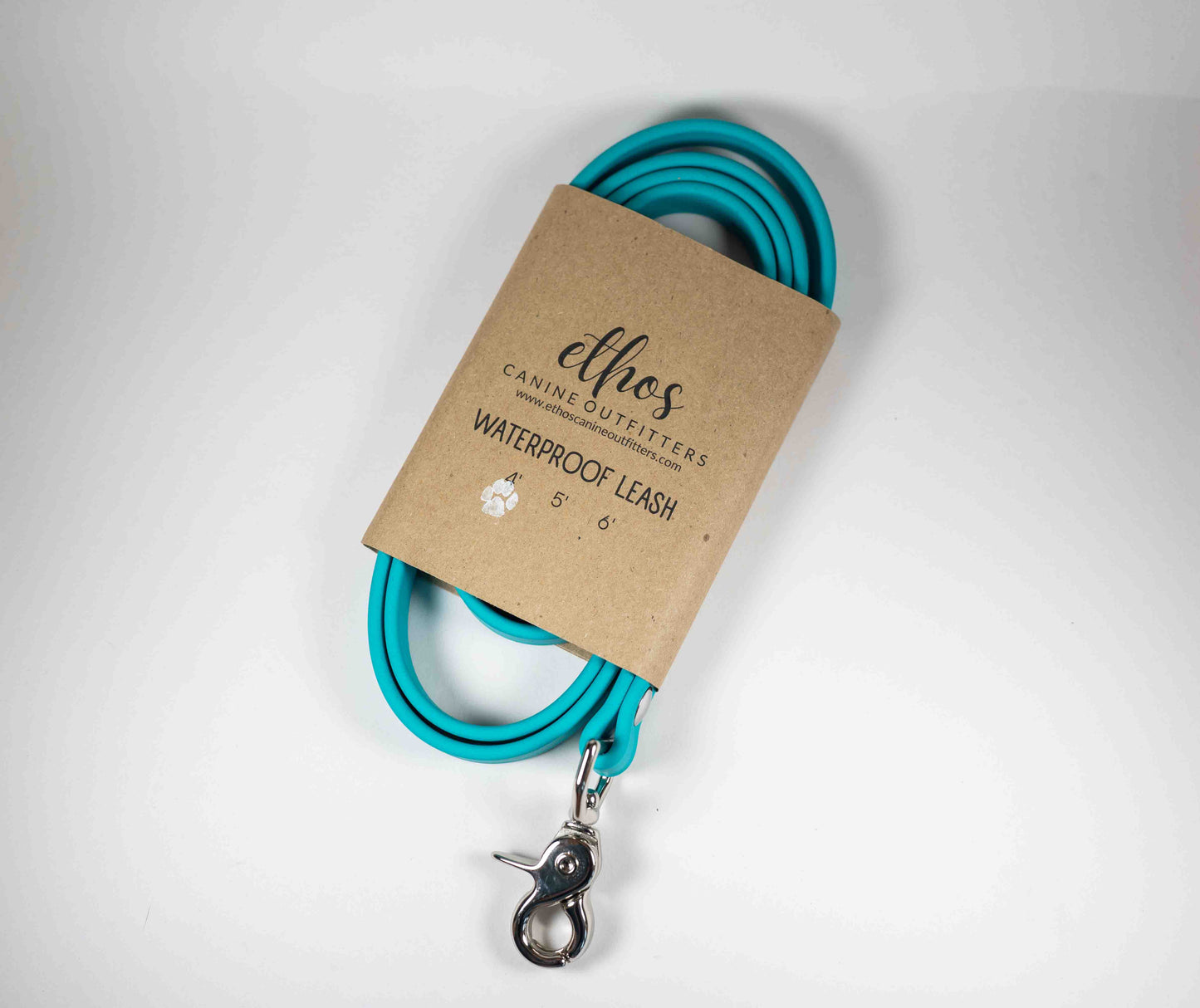 4' Teal Leash