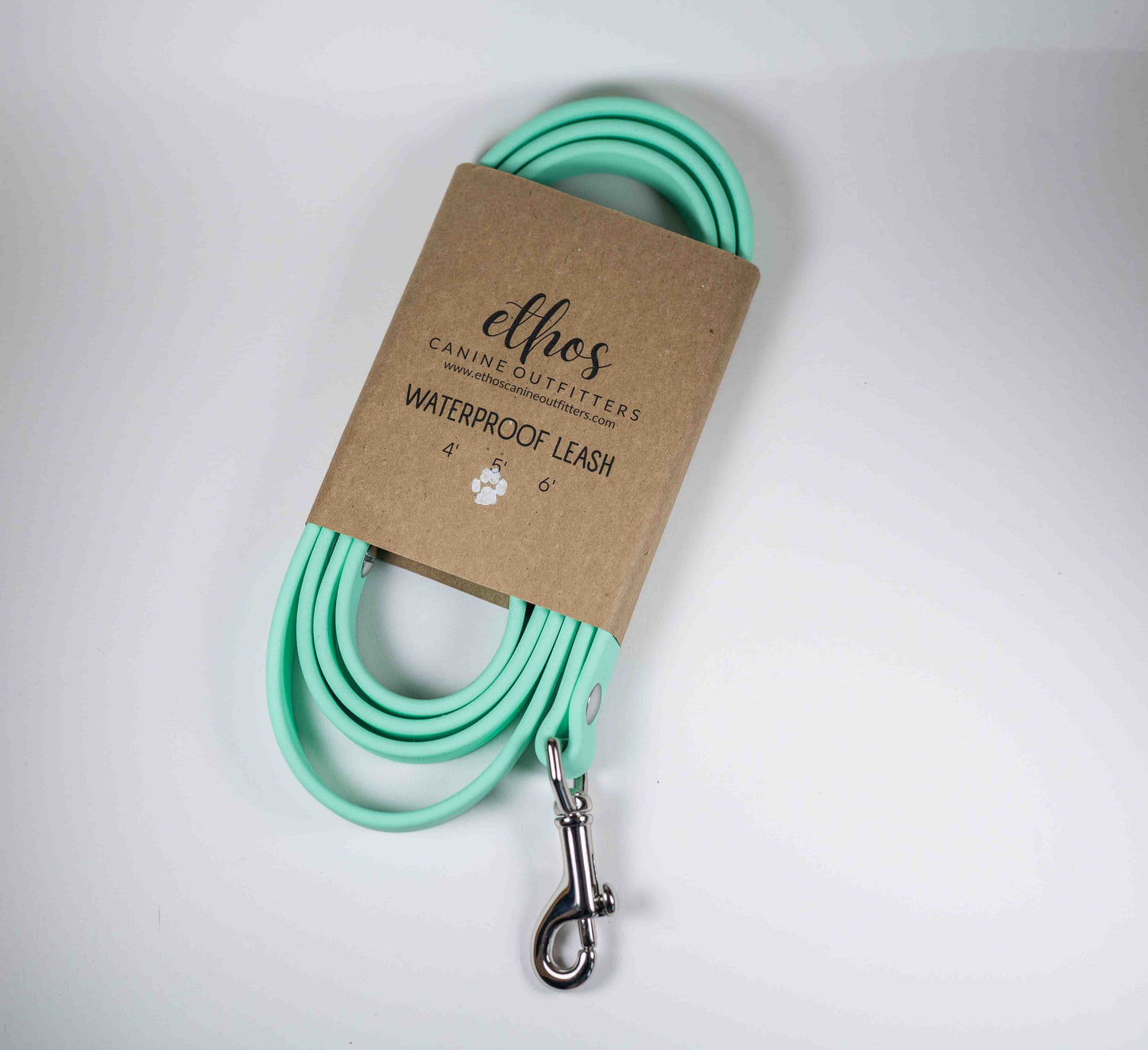 5' Mint Leash